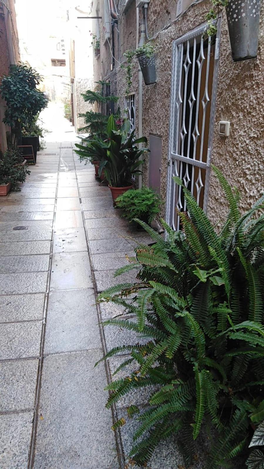 Casa Vacanza Castello Cagliari Eksteriør billede